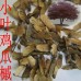 Semillas de Arce Japonés Acer palmatum